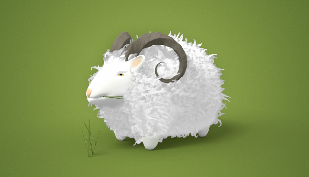 sheep_large